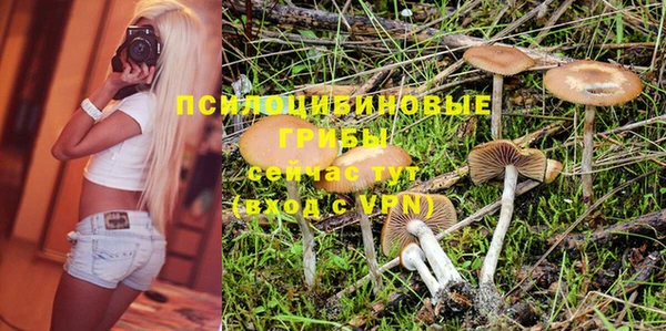 Альфа ПВП Абаза