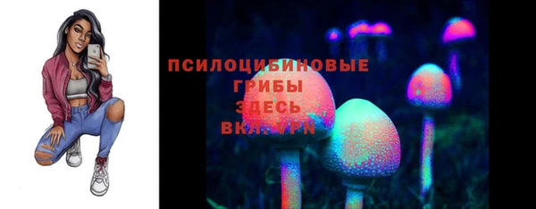бошки Абинск