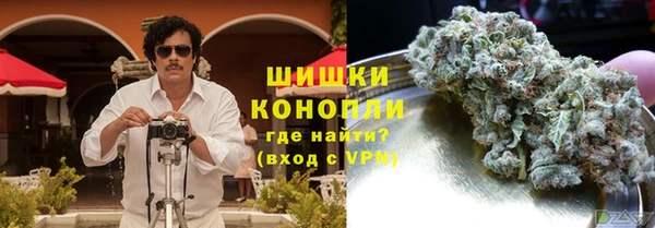 мдпв Дмитриев