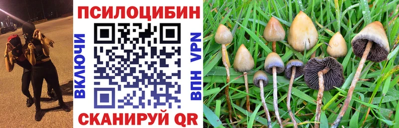 Псилоцибиновые грибы Psilocybine cubensis  как найти закладки  Азнакаево 