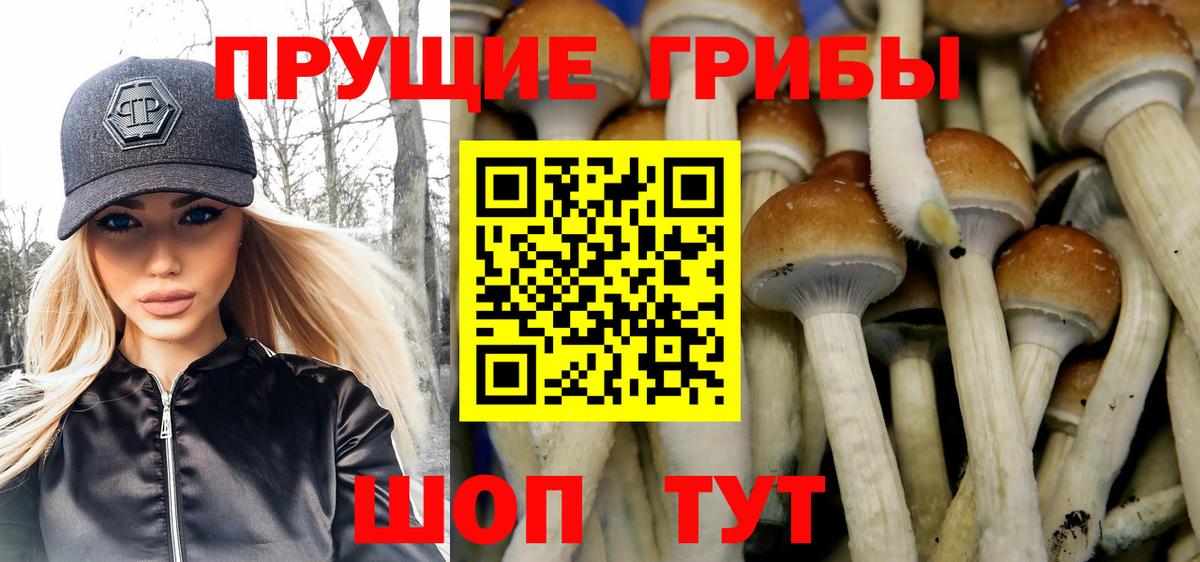 Псилоцибиновые грибы Psilocybine cubensis Азнакаево
